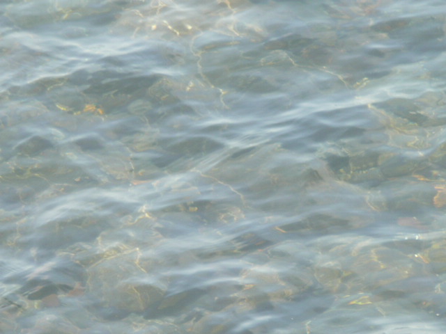 a0154870_18113378.jpg
