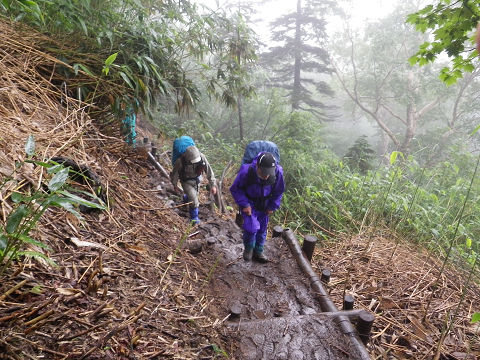 c0002874_2317222.jpg