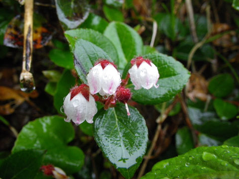 c0002874_23201926.jpg