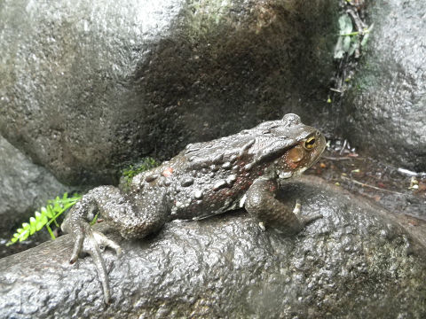 c0002874_23265215.jpg