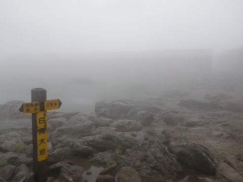 c0002874_2340036.jpg