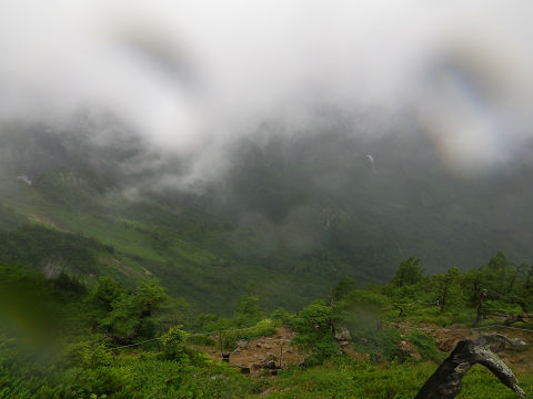 c0002874_23454936.jpg