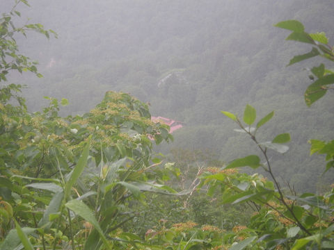 c0002874_23465324.jpg