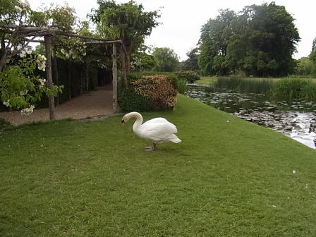Hever Castle チューダーガーデン_d0127182_14364130.jpg