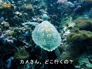 今日が本番だよ!_f0144385_2264937.jpg