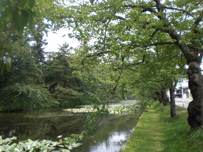 c0013687_616069.jpg