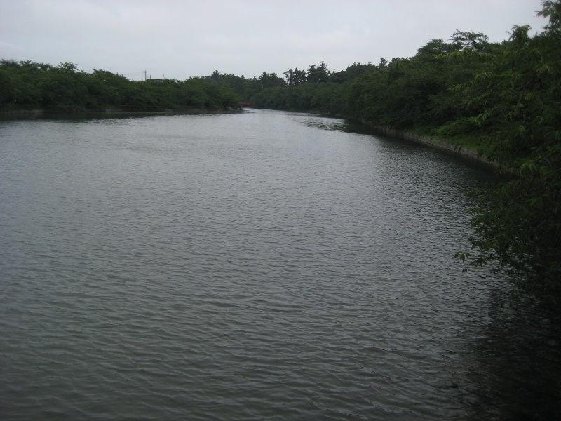 c0013687_619548.jpg