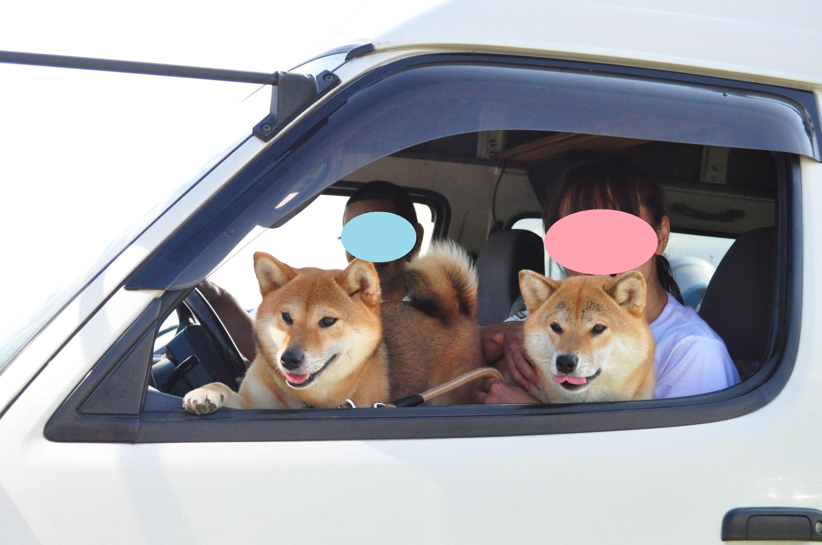 北海道キャンプ① 青森からフェリーに乗って_a0126590_36326.jpg