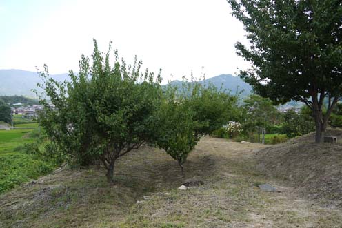 f0222692_15501061.jpg