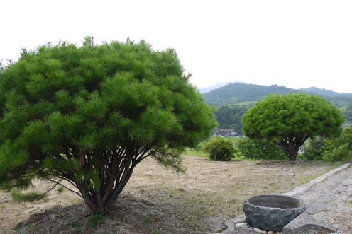 f0222692_15505830.jpg
