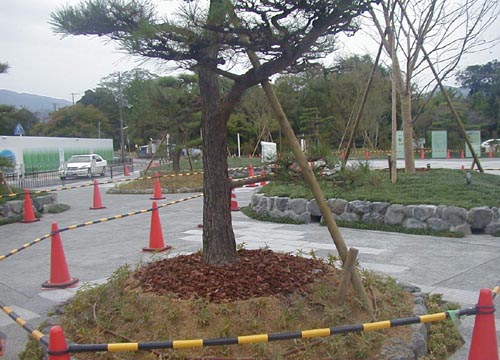 ●嵐山駅前の変化、その133(駅舎から広場、脇道から広場)_d0053294_2345762.jpg