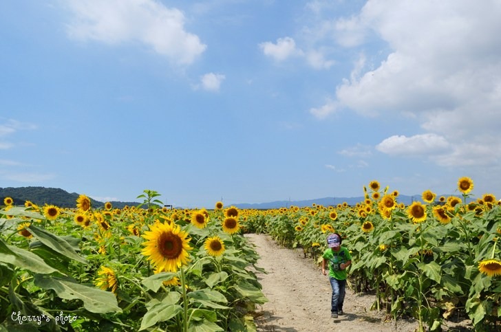 a0146195_2052771.jpg