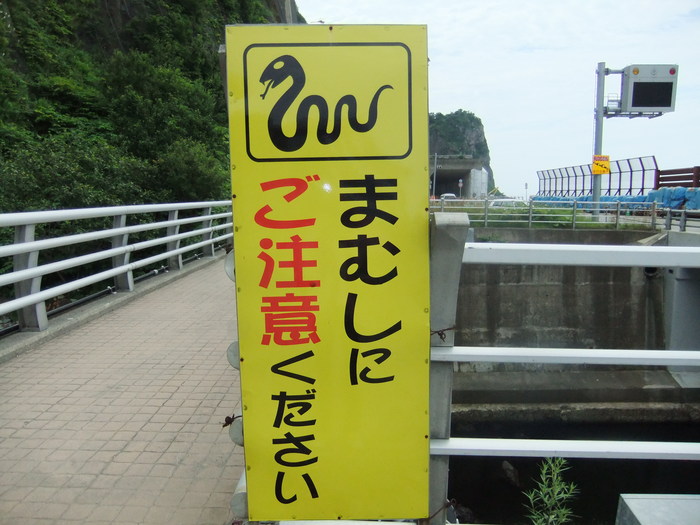サクランボ狩り!!_c0226202_6131350.jpg