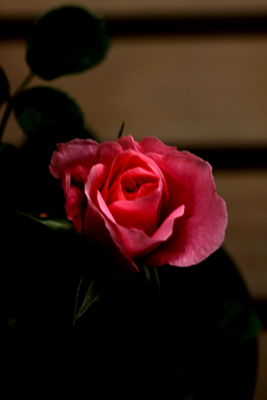 d0248502_724698.jpg