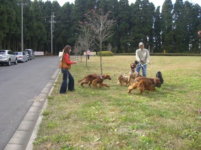 a0134004_8261548.jpg