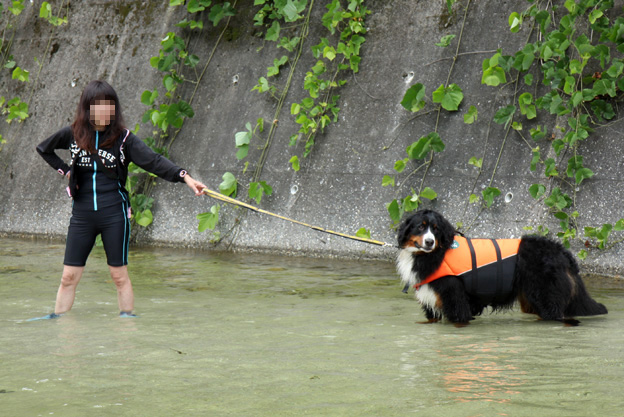 川遊び〜12バニ編_f0137508_14113310.jpg