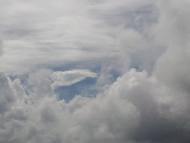b0207514_1429638.jpg