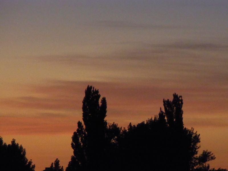 秋っぽい夕方_c0025115_19493157.jpg