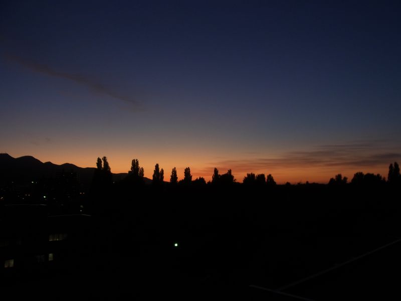 秋っぽい夕方_c0025115_19501995.jpg