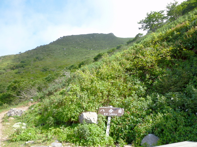 d0170615_201022.jpg