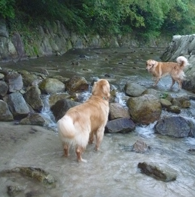 兄妹で川遊び♪_e0140616_21285948.jpg