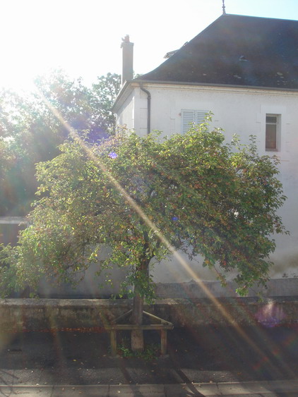 c0124619_3554352.jpg