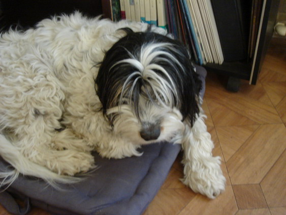 c0124619_3562818.jpg