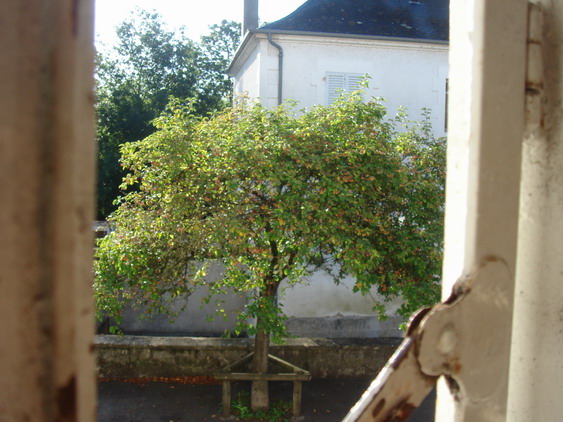 c0124619_35646.jpg