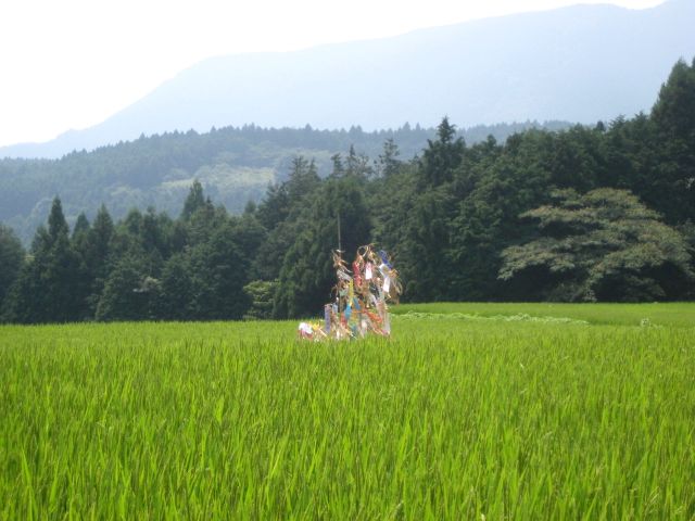 七夕送り_b0093221_0103910.jpg