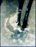 c0109726_2027226.jpg