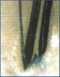 c0109726_20274332.jpg