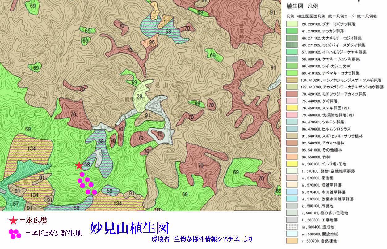 妙見山上の植生図（2011年8月）_d0024426_15361394.jpg