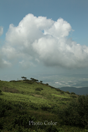 f0078127_18154129.jpg