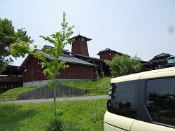 d0086228_8452788.jpg