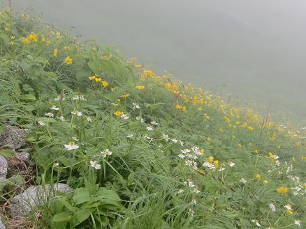 b0137933_1531291.jpg