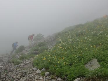 b0137933_1545266.jpg