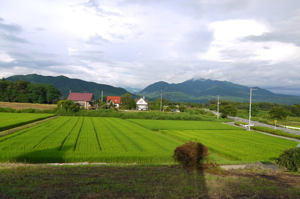 e0016135_72589.jpg