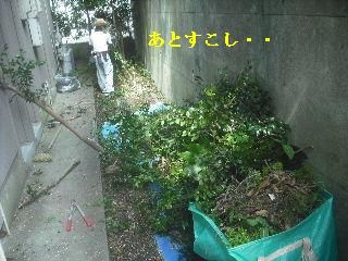 賃貸物件の敷地内・植木伐採作業_f0031037_20312295.jpg