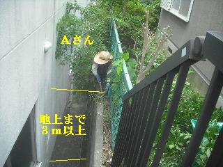 賃貸物件の敷地内・植木伐採作業_f0031037_20323853.jpg