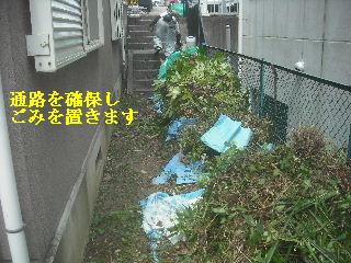 賃貸物件の敷地内・植木伐採作業_f0031037_20335070.jpg