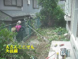 賃貸物件の敷地内・植木伐採作業_f0031037_2034818.jpg