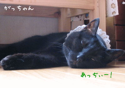 a0166338_13155117.gif