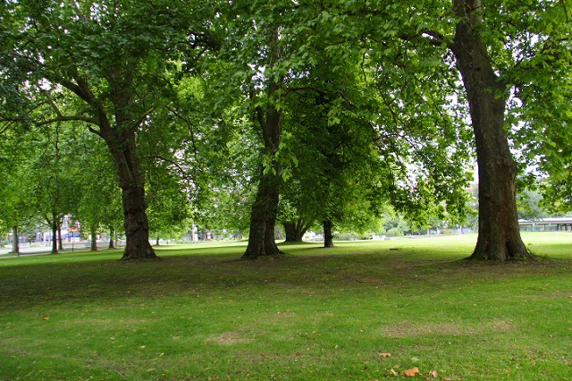 c0153740_453298.jpg