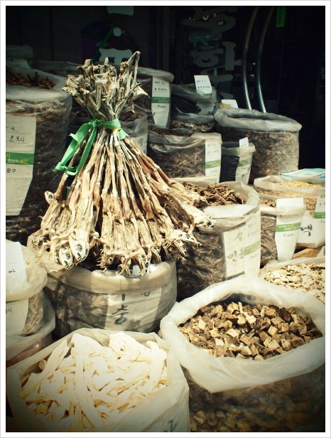 ソウル「京東市場散策＆嬉しい再会」+自家製五味子茶～☆ : たびねこ