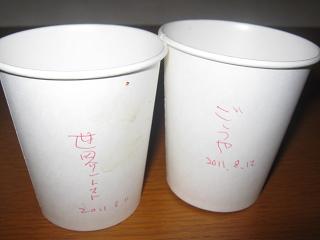 a0139242_7232830.jpg