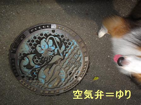 散歩でつい目にとまるもの_e0195743_1144486.jpg