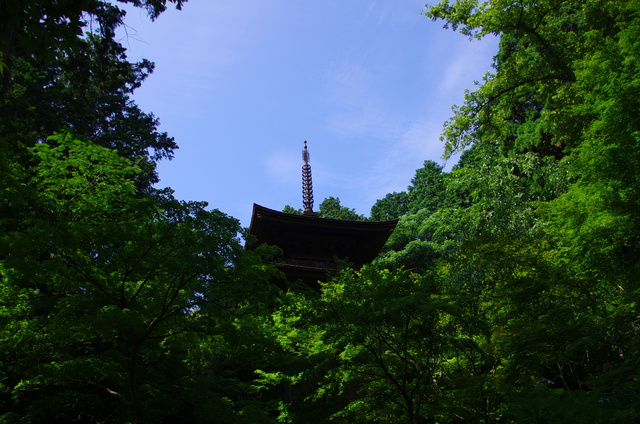 d0186245_25778.jpg