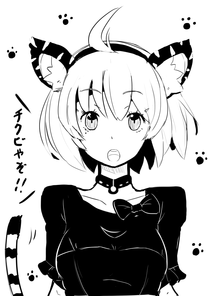 a0146155_6552610.png