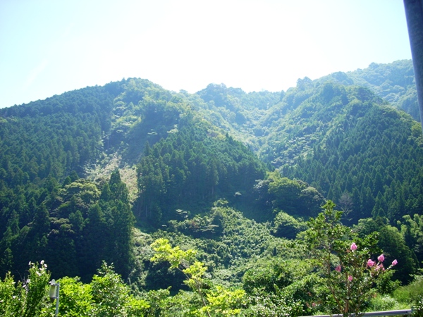 f0156158_7473342.jpg