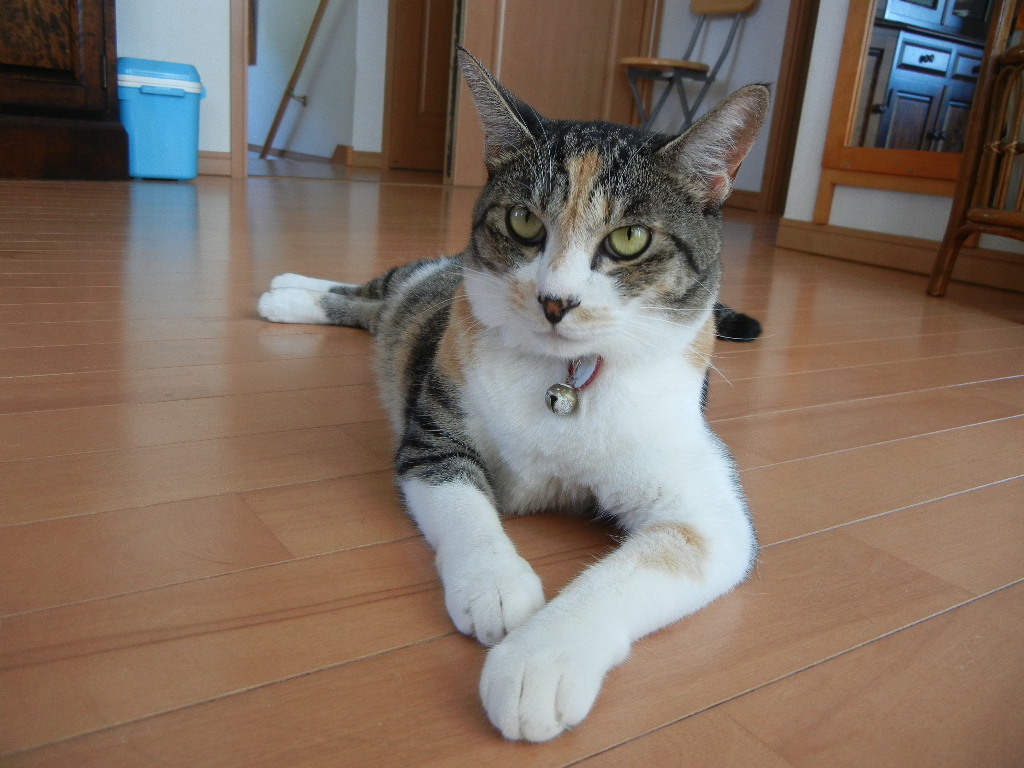 2011年8月12日(金)暑いけど、海水浴客もいっぱい!_f0060461_15384948.jpg
